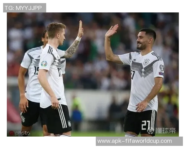 荷兰与爱沙尼亚足球比赛精彩比分回顾与分析 荷兰与爱沙尼亚足球比赛精彩比分回顾与分析